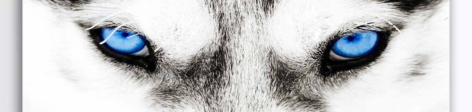 Wallart Guru | Wall Art Designs Kenya