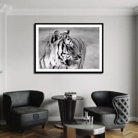 Close-up-greyscale-tiger-canvas art